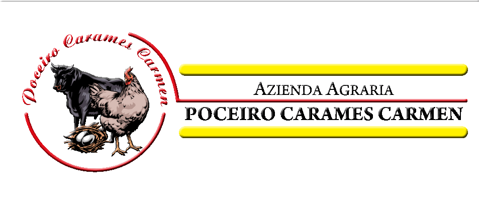 Logo Azienda